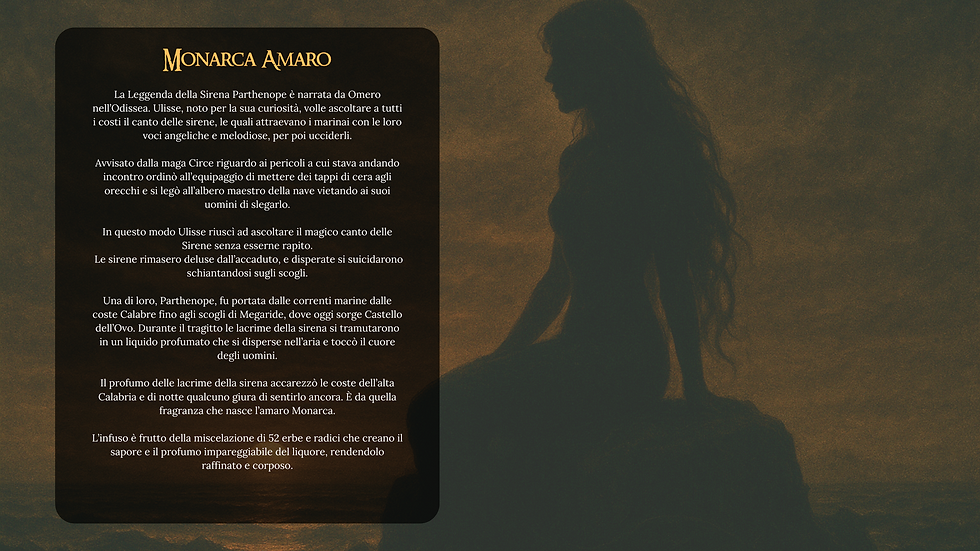 SCHEDA TECNICA (Video).png