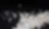 AdobeStock_297395435.jpeg