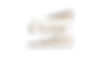 logotrans.PNG