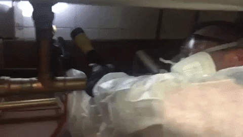 COUNCILMEN REGULATORY PEST CONTROL SPECIALIZES IN PUBLIC HEALTH VIOLATIONS