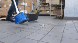 FLDR.gif