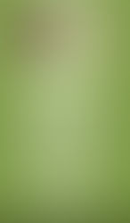 The Ego vs Your Higher Self: Identifying the Differences