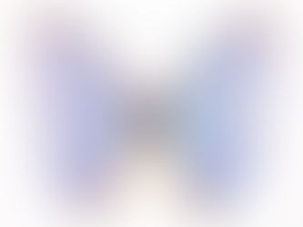 Finding Freedom in Fearlessness