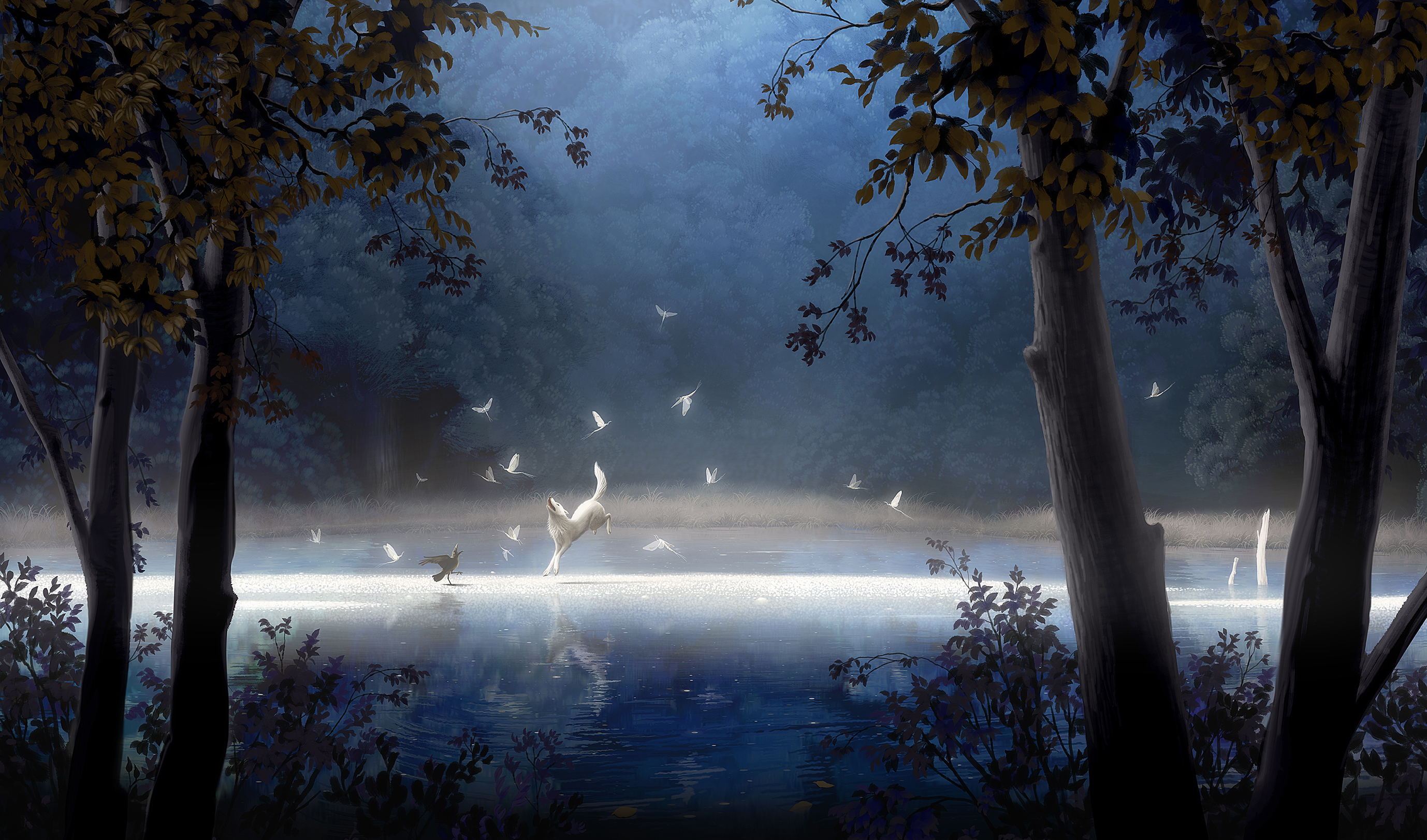 明け方の夢 Dawn dream