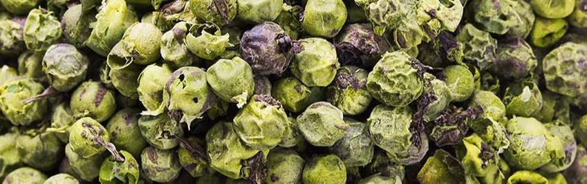Green Peppercorn