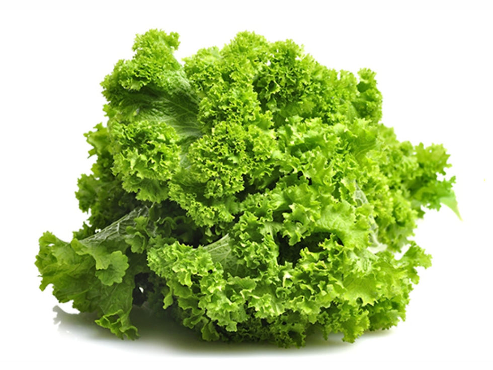 Mustard-Curly-Commodity