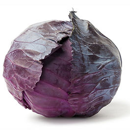 Red Cabbage