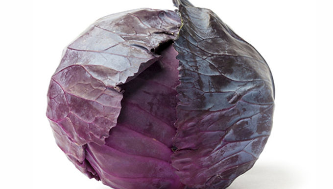 Red Cabbage