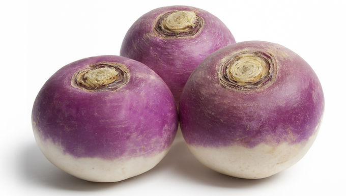 turnip roots