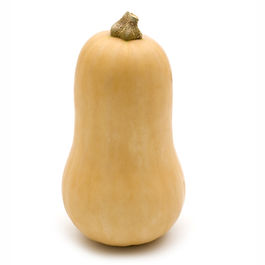 Butternut Squash