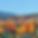 Untitled design (14).png