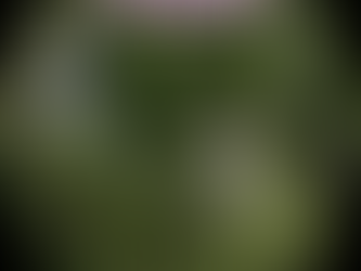 A New Lens
