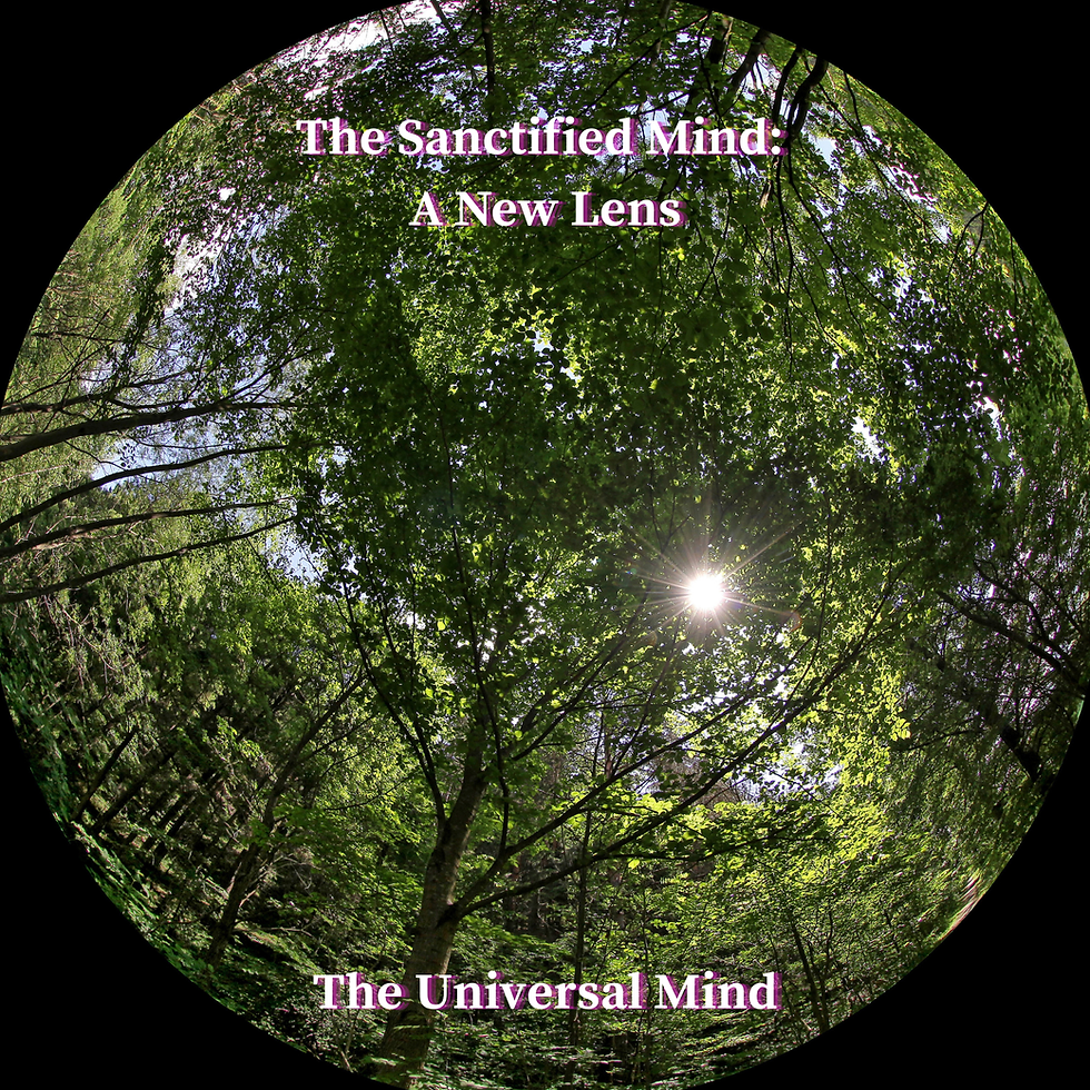 A New Lens
