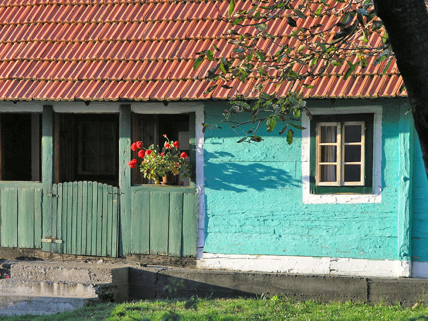 Traditional house