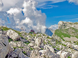 P7279209a.jpg