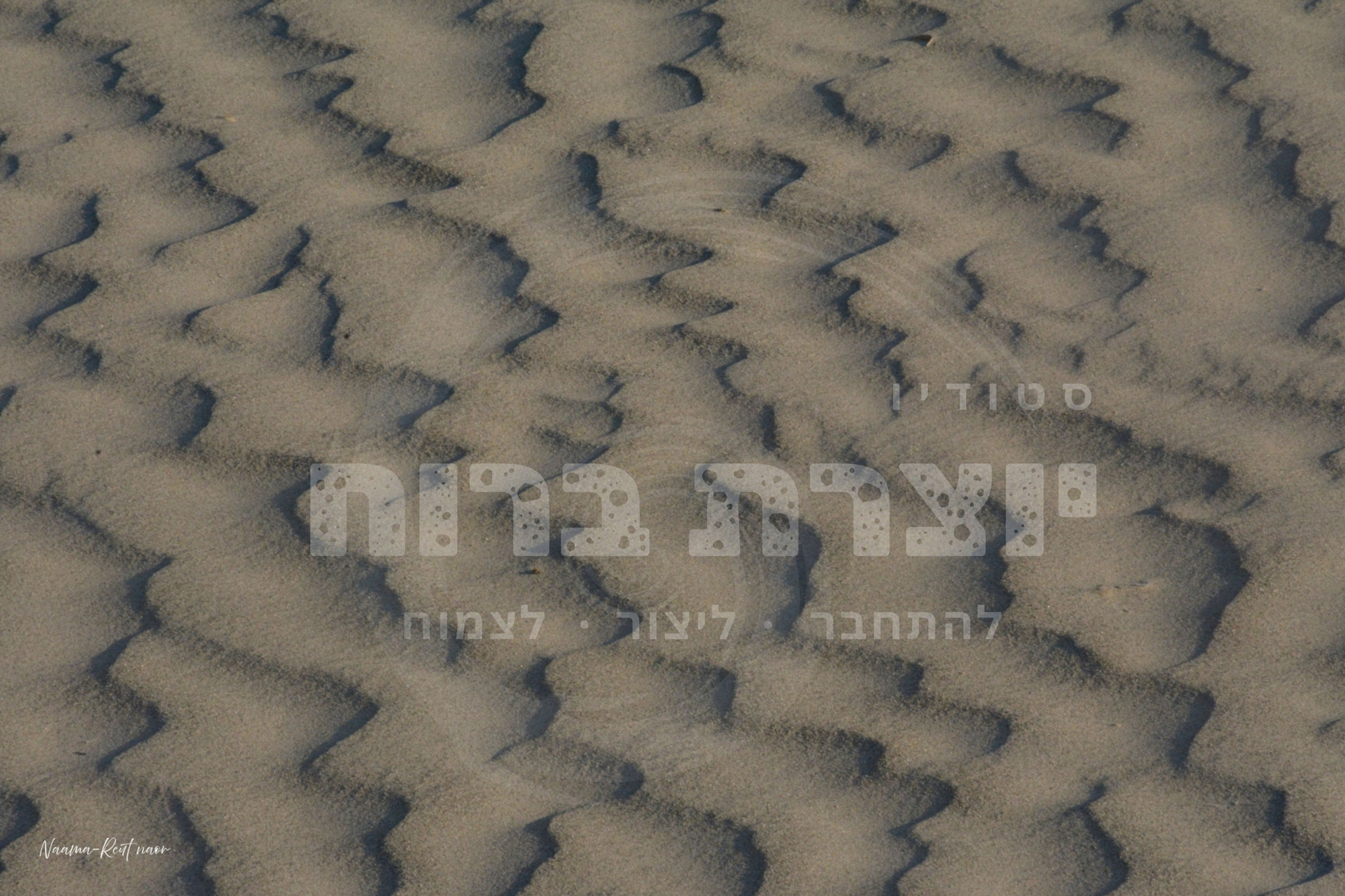 דיונות חול ברוח עם הכיתוב יצירת ברוח - להתחבר, ליצור, לצמוח