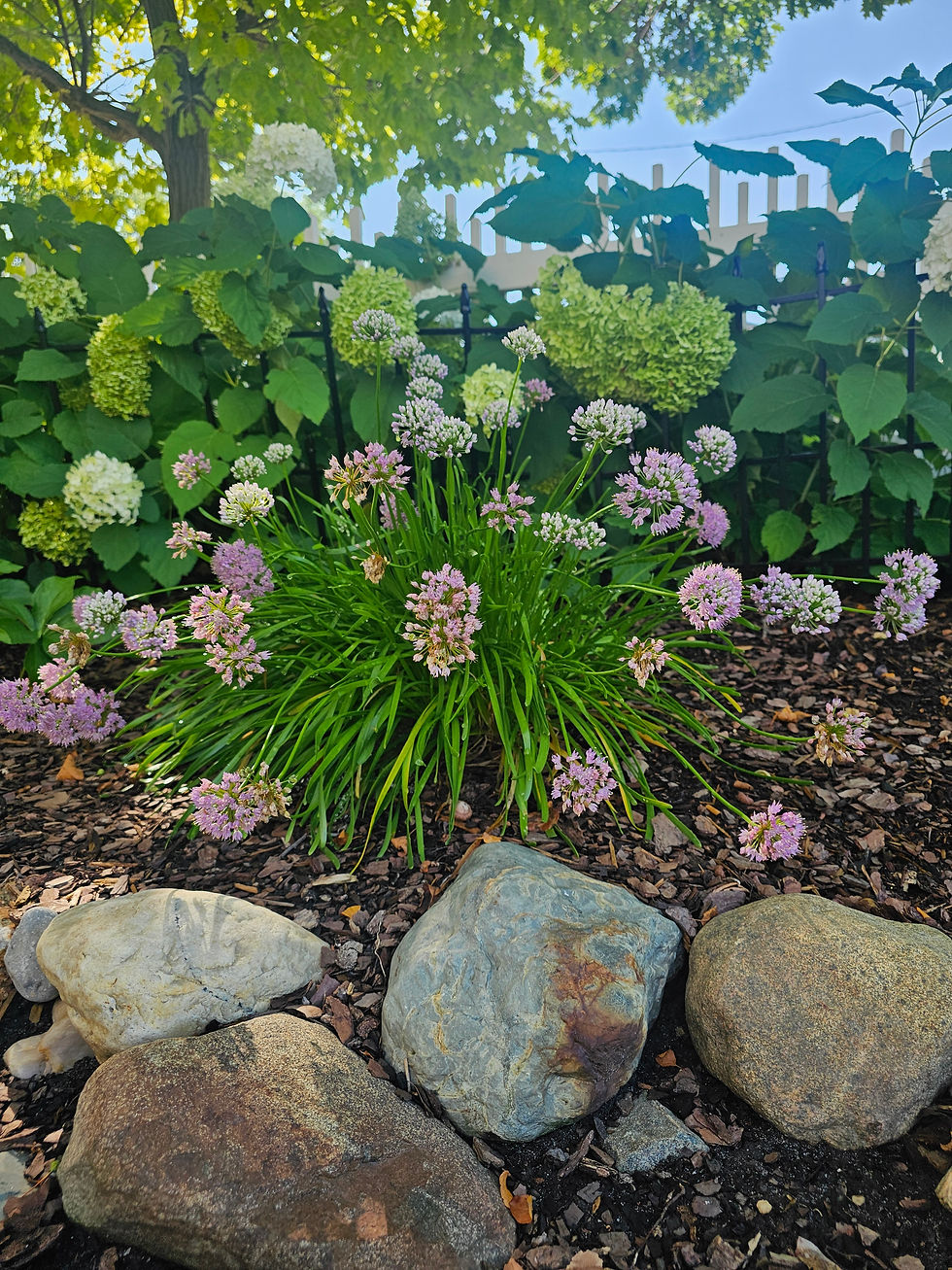 MoMS 2026 Garden