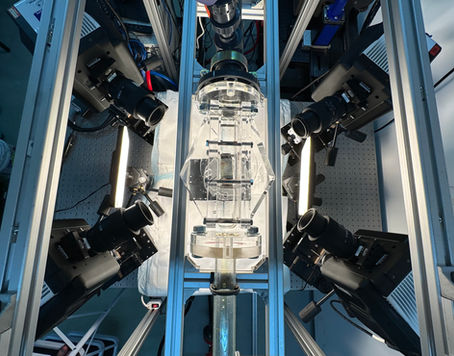 We measure 3D flow fields