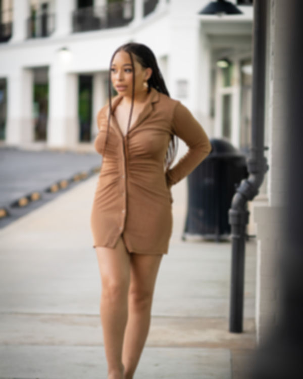 Long Sleeve Mini Ruched Dress