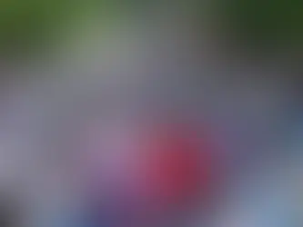 "EVOLUCIONANDO"LLEGA POR PRIMERA VEZ A SENILLOSA CON UNA CARRERA INCLUSIVA.