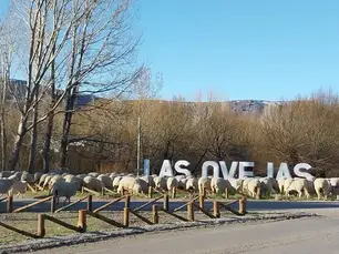 LAS OVEJAS INVITA A CELEBRAR LAS TRADICIONES EN LA FIESTA PROVINCIAL DEL MATE Y EL PAN CASERO