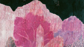 Il segno di Jesús Cisneros alla Mostra Internazionale d'Illustrazione Le Immagini della Fantasia 43