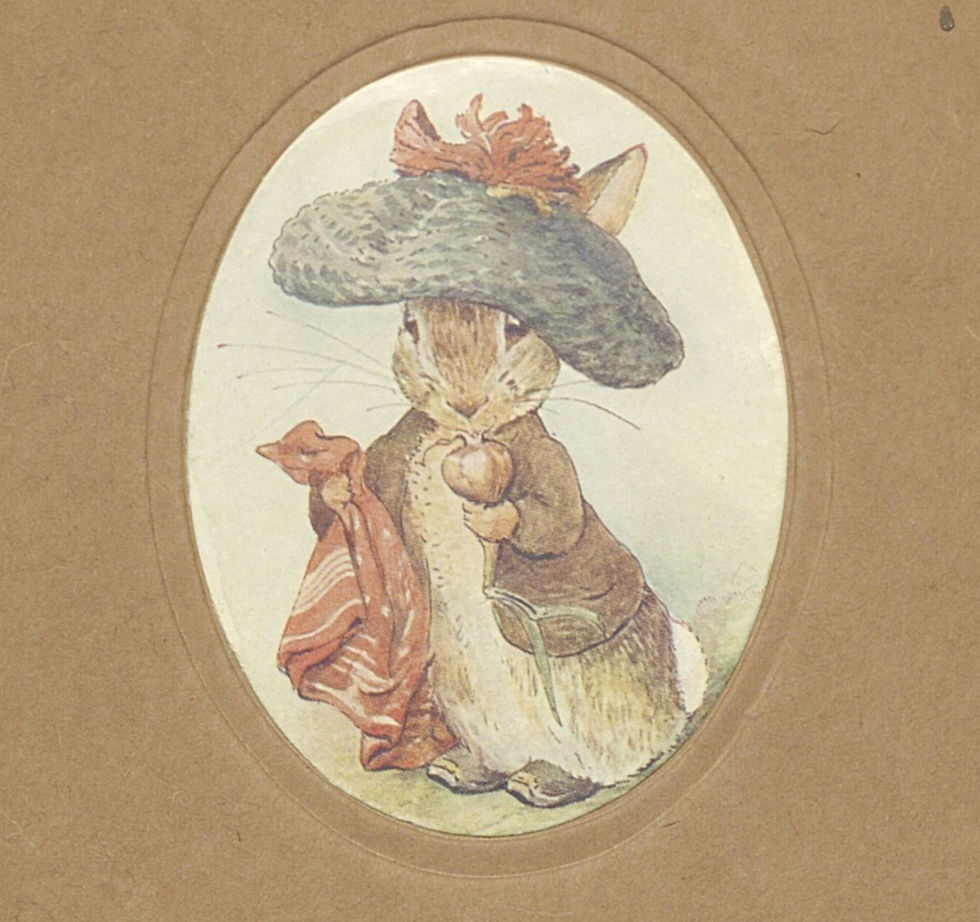 "Nel nostro piccolo": un viaggio nei libri per ragazzi attraverso i fondi della Biblioteca Manfrediana di Faenza