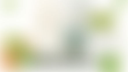 Il piccolo orto di Maja di Lena Anderson