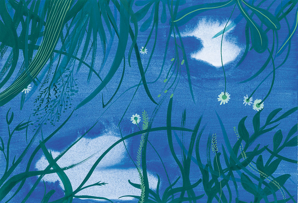 Anne Crausaz, L'imagier des sens, éditions askip, 2022; edizioni italiana I cinque sensi, Marameo Edizioni, 2023