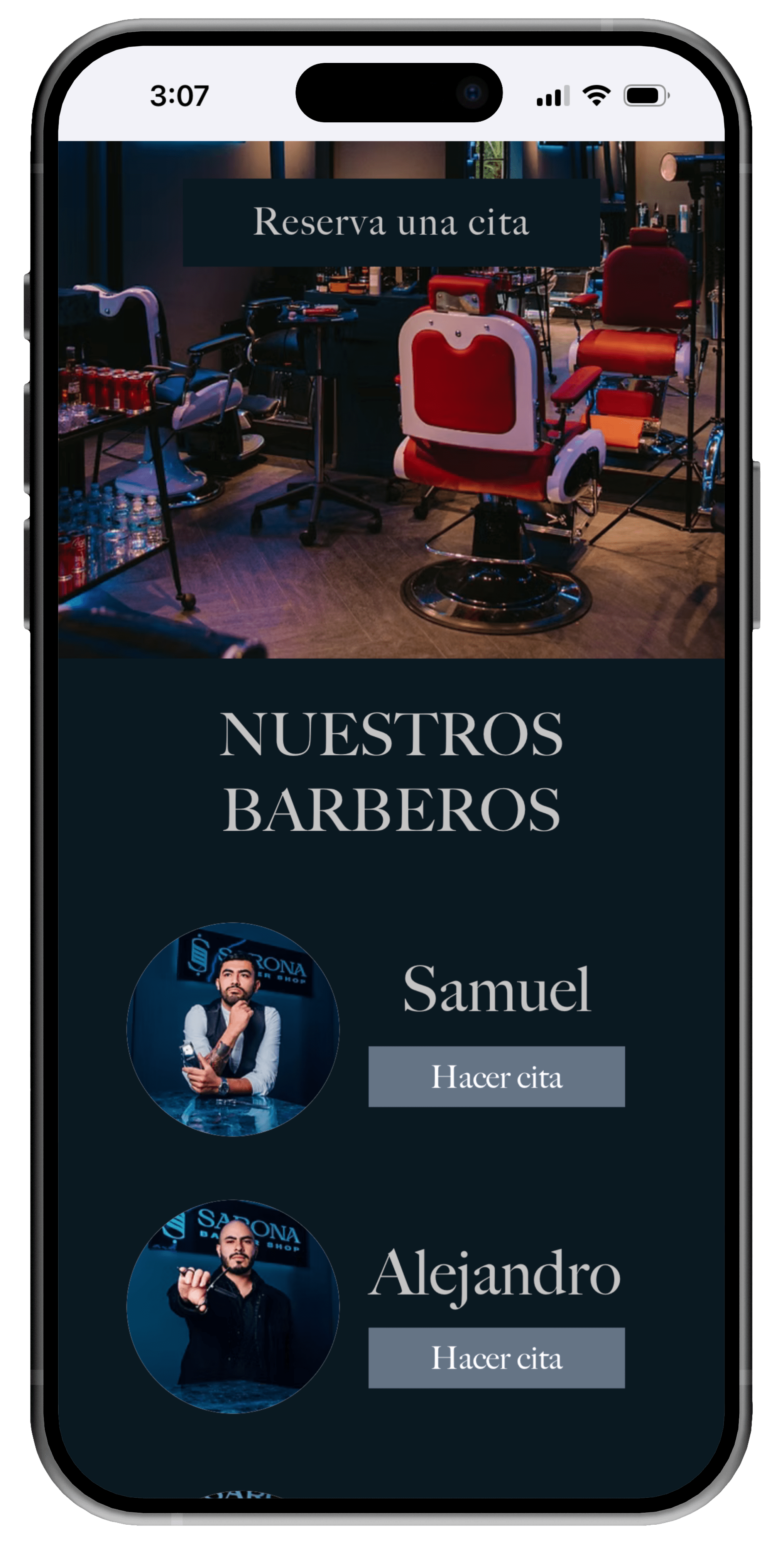 alterna web design sarona before-min.png