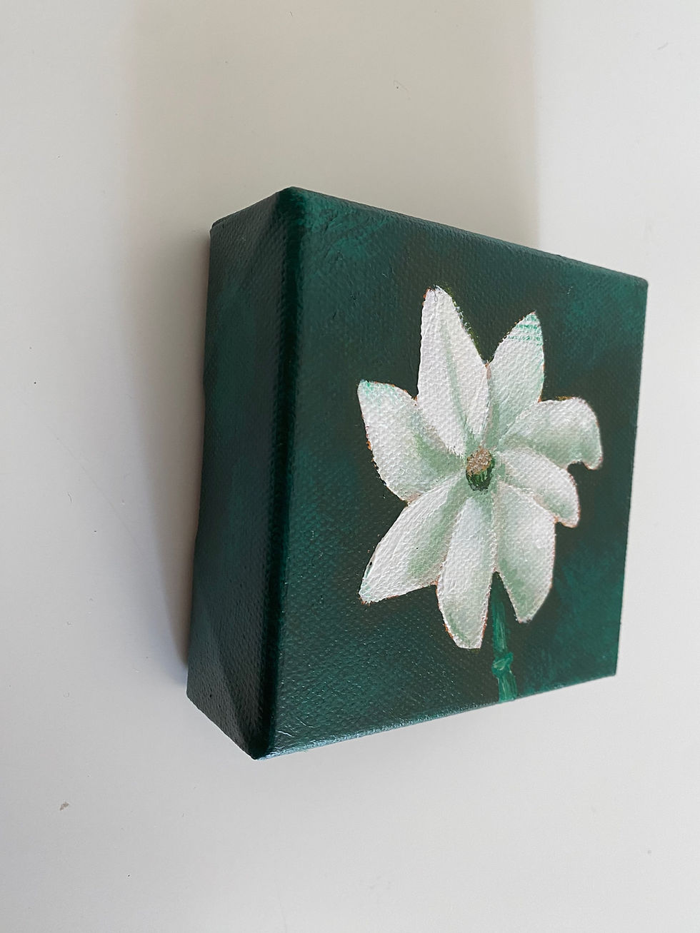 Thumbnail: Simbelmynë Flower 