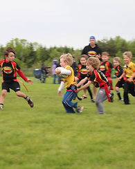 IMG_3863_edited.jpg