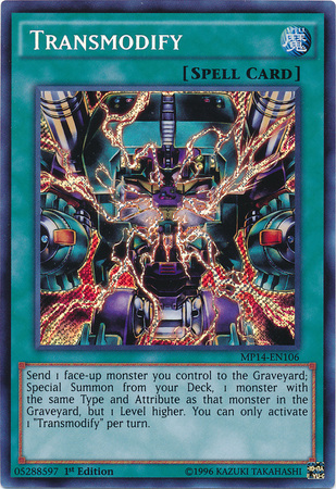 Transmodify-MP14-EN-ScR-1E