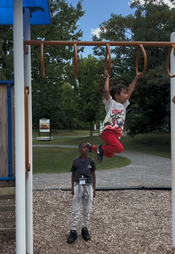 Screenshot 2026-02-03 193444