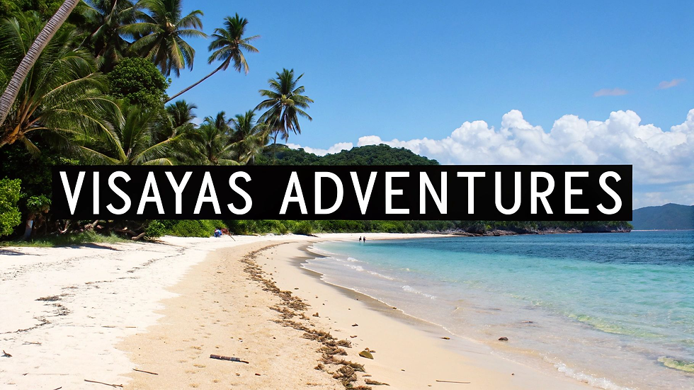 Tropical beach setting with palm trees, blue sky, and clear sea. "VISAYAS ADVENTURES" text overlays the scene, evoking travel vibes.