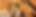 HOME-PAGE-Fidela.Crop.png