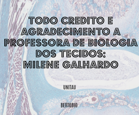 Agradecimento Milene