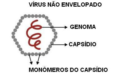 08e95f4239d0e32e097410f92e5d0713