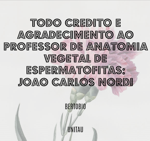 Agradecimento Nordi 2