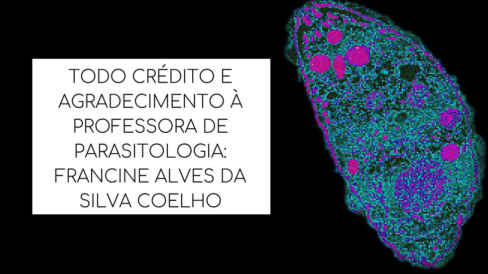 TODO CRÉDITO E AGRADECIMENTO À PROFESSORA DE PARASITOLOGIA_FRANCINE ALVES DA SILVA COELHO