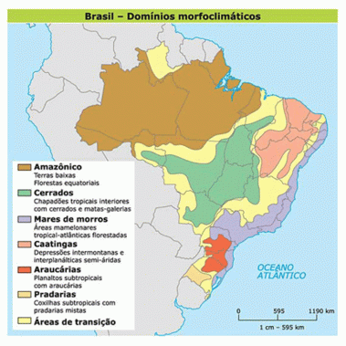 Domínios Morfoclimáticos e Fitogeográficos do Brasil « Prof ...