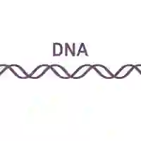 molecular biology animation GIF by lunarpapacy