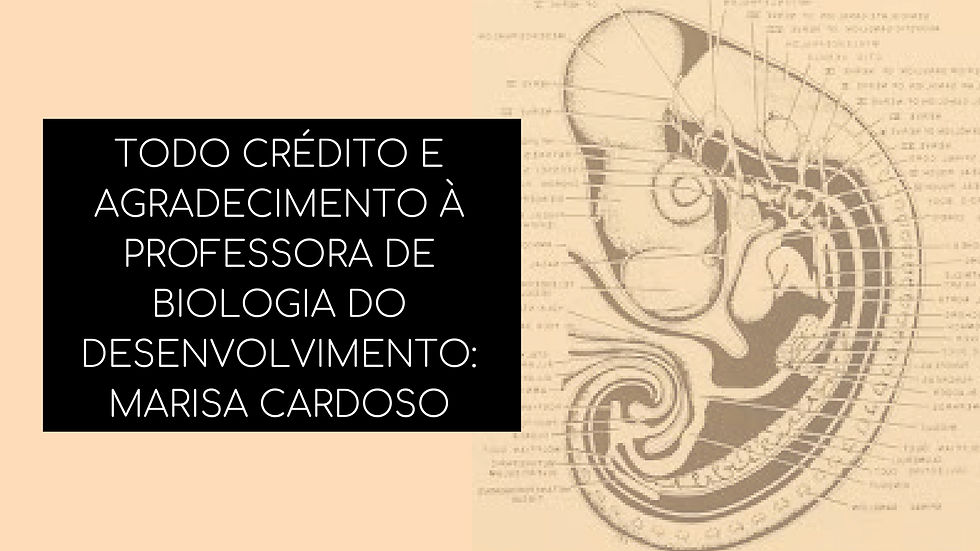 TODO CRÉDITO E AGRADECIMENTO À PROFESSORA DE BIOLOGIA DO DESENVOLVIMENTO_ MARISA CARDOSO.jpg