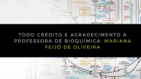 bioquímica (8)