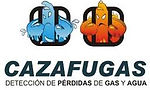 Gas Natural Fenosa