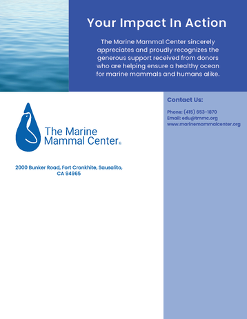 mmc_newsletter_back
