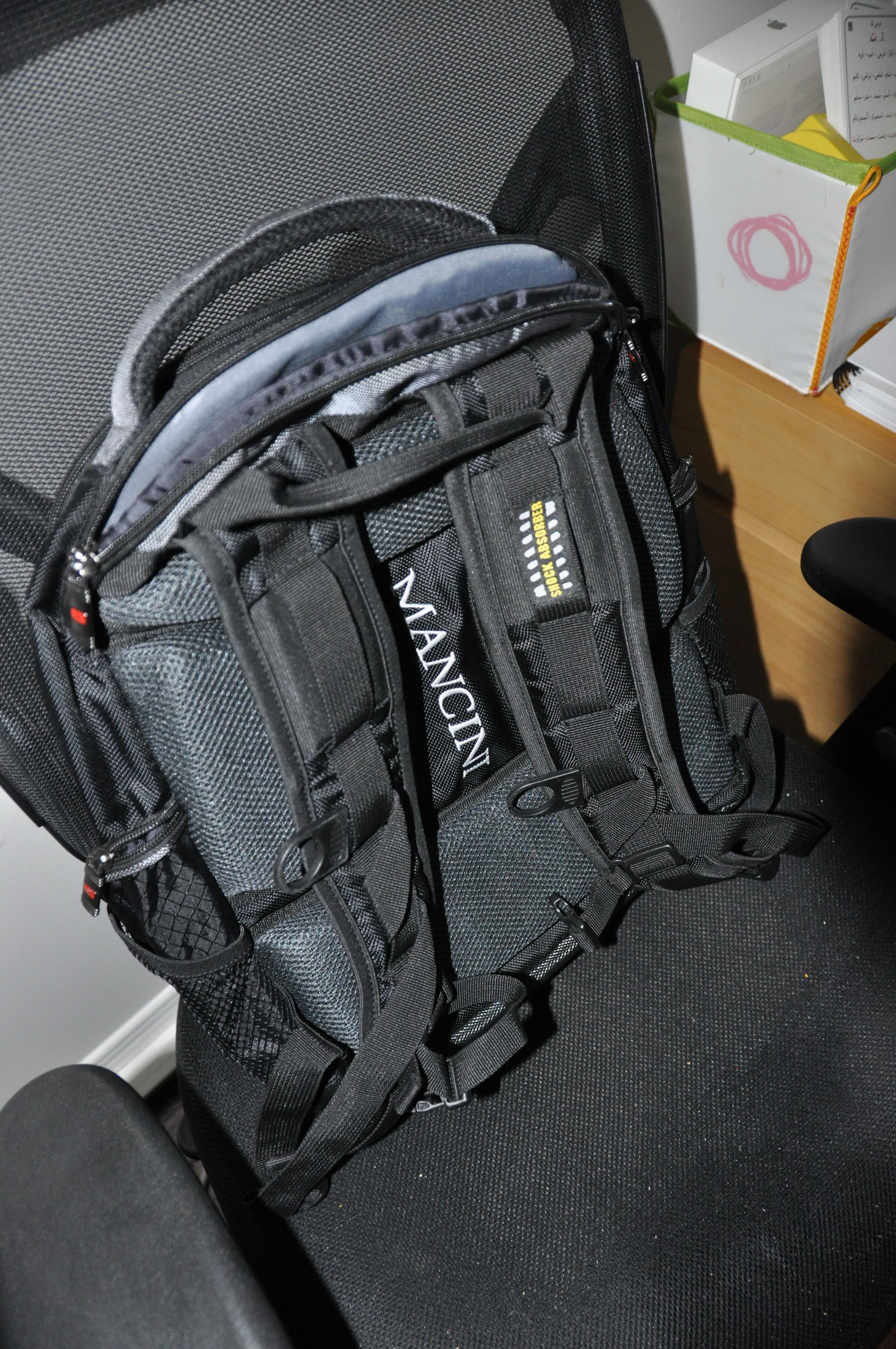 Mancini backpack & computer carrying case