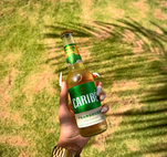 Caribé Summer Slay Images24