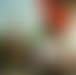 國際志工和在地小朋友的合影