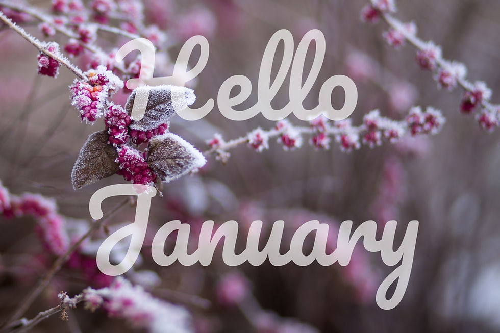 January 2026 Newsletter